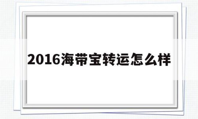 2016海带宝转运怎么样